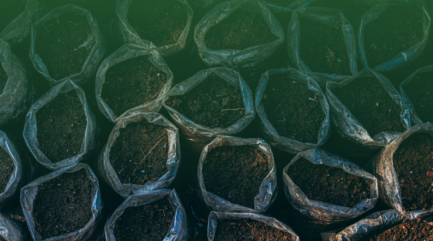 Organic Isn’t a Trend, It’s a Return to Roots
