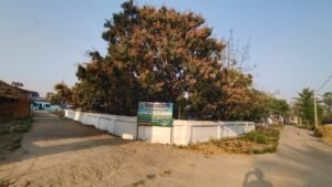 Way to Nano Compost, our DREAM